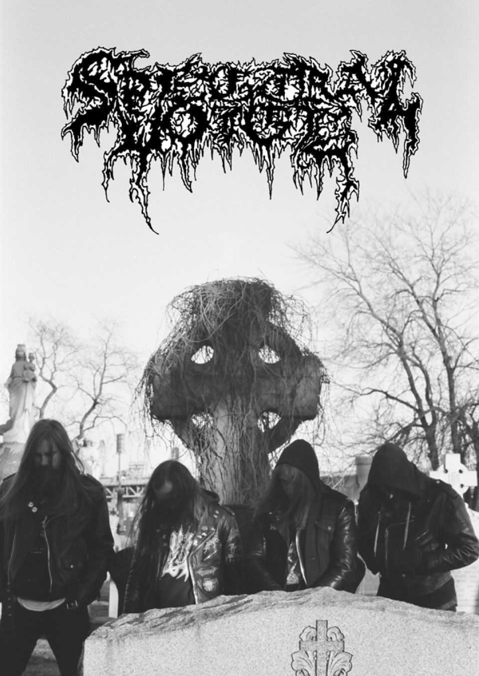 Spectral_Voice_Promo