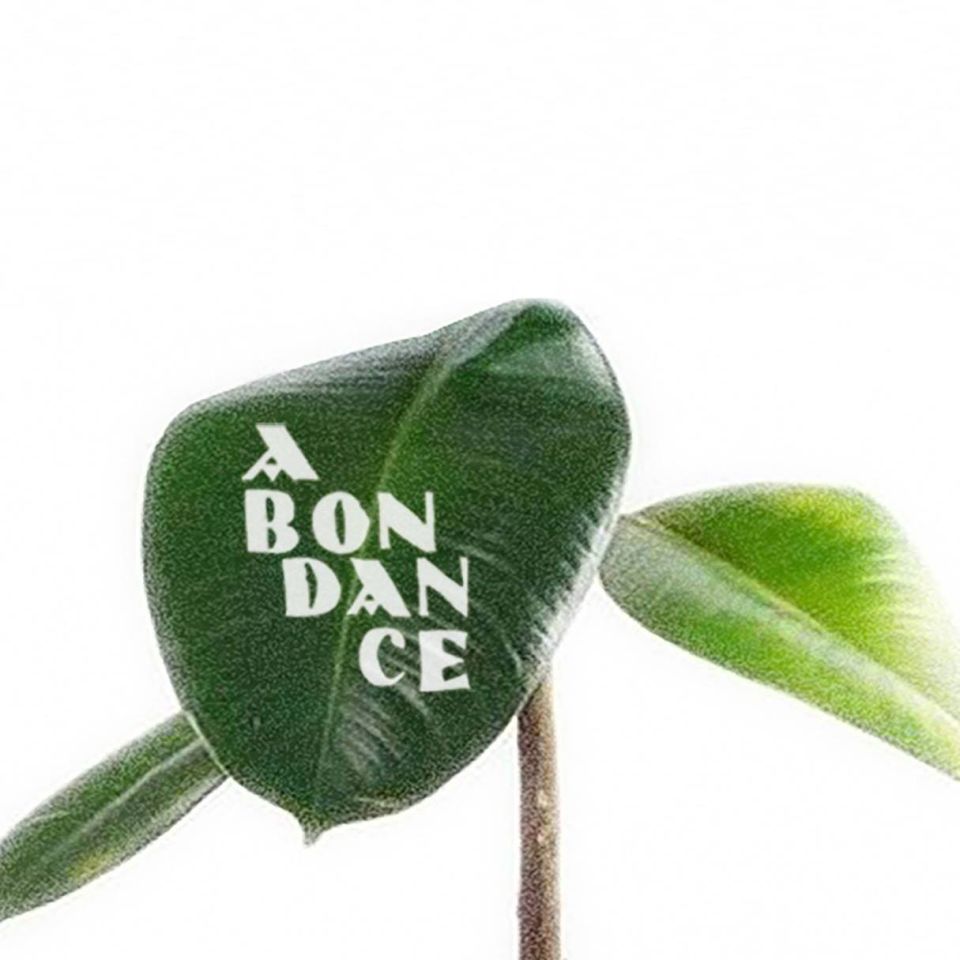 abondance