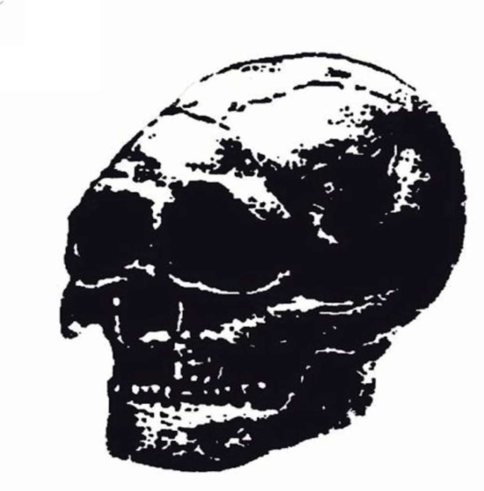 loloman stig koppen