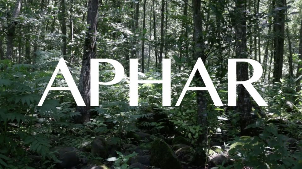Aphar_beeld