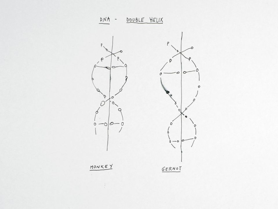 Gernot_Wieland-Depression_in_Animals-performance