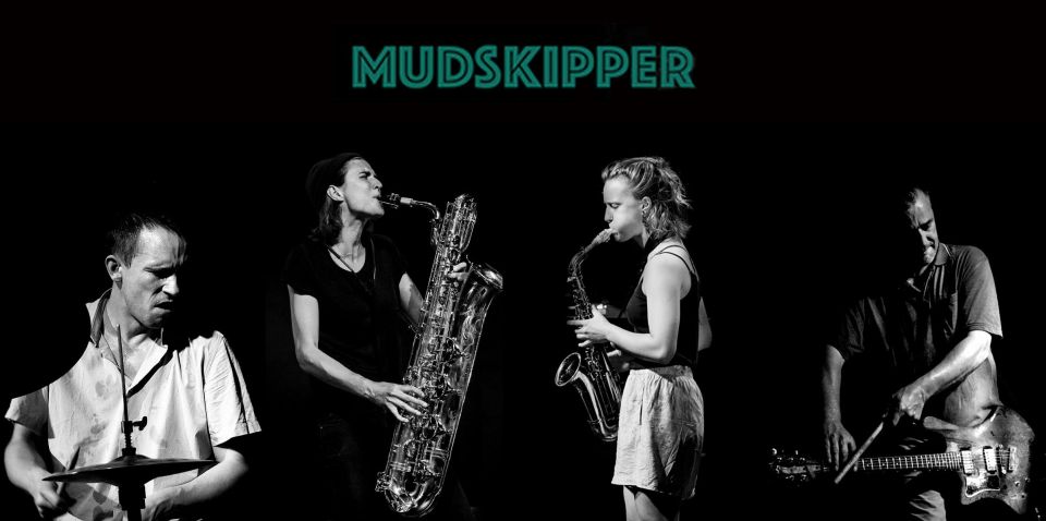 mudskipper oorstof