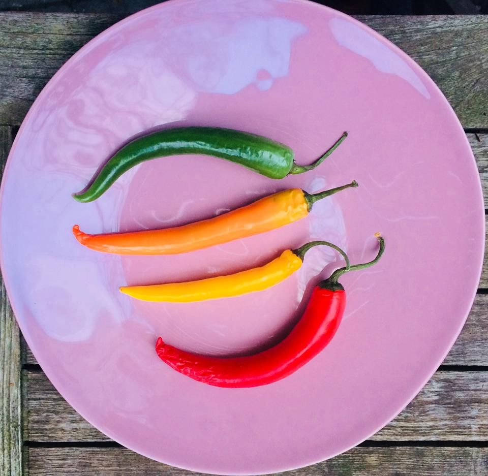 Chili