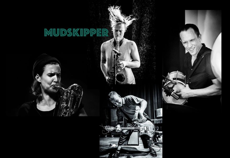 mudskipper-billede