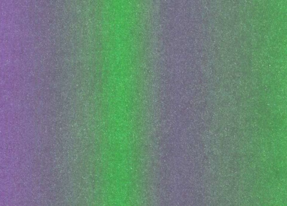 dw-web2