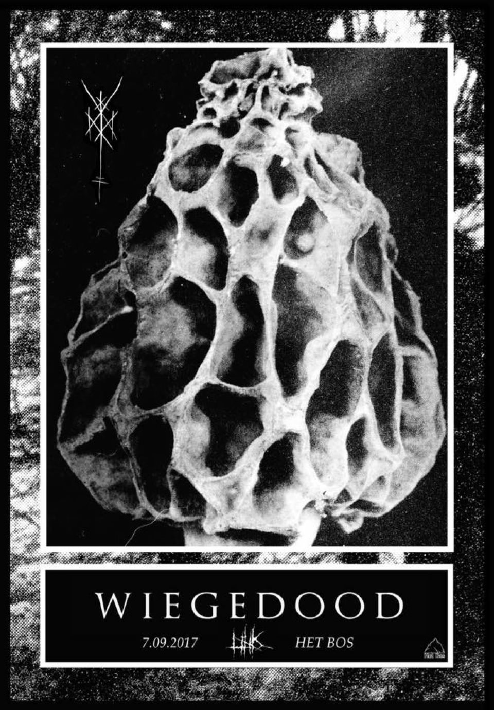 2017 wiegedood