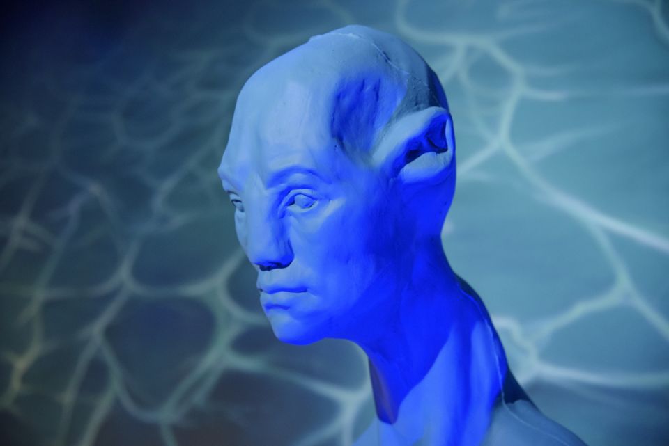2019_03_20 AVATAR BLUE expo - Han Soete