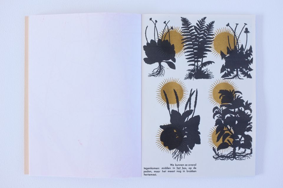 DSCF5379