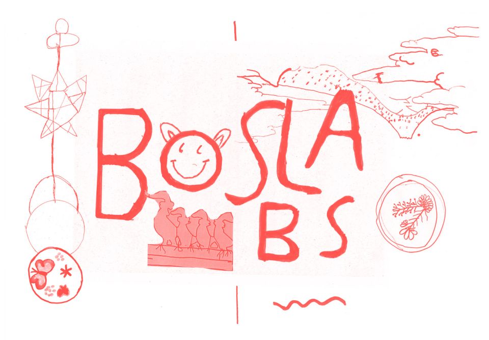 boslabs_finale_opmaak_outlines2