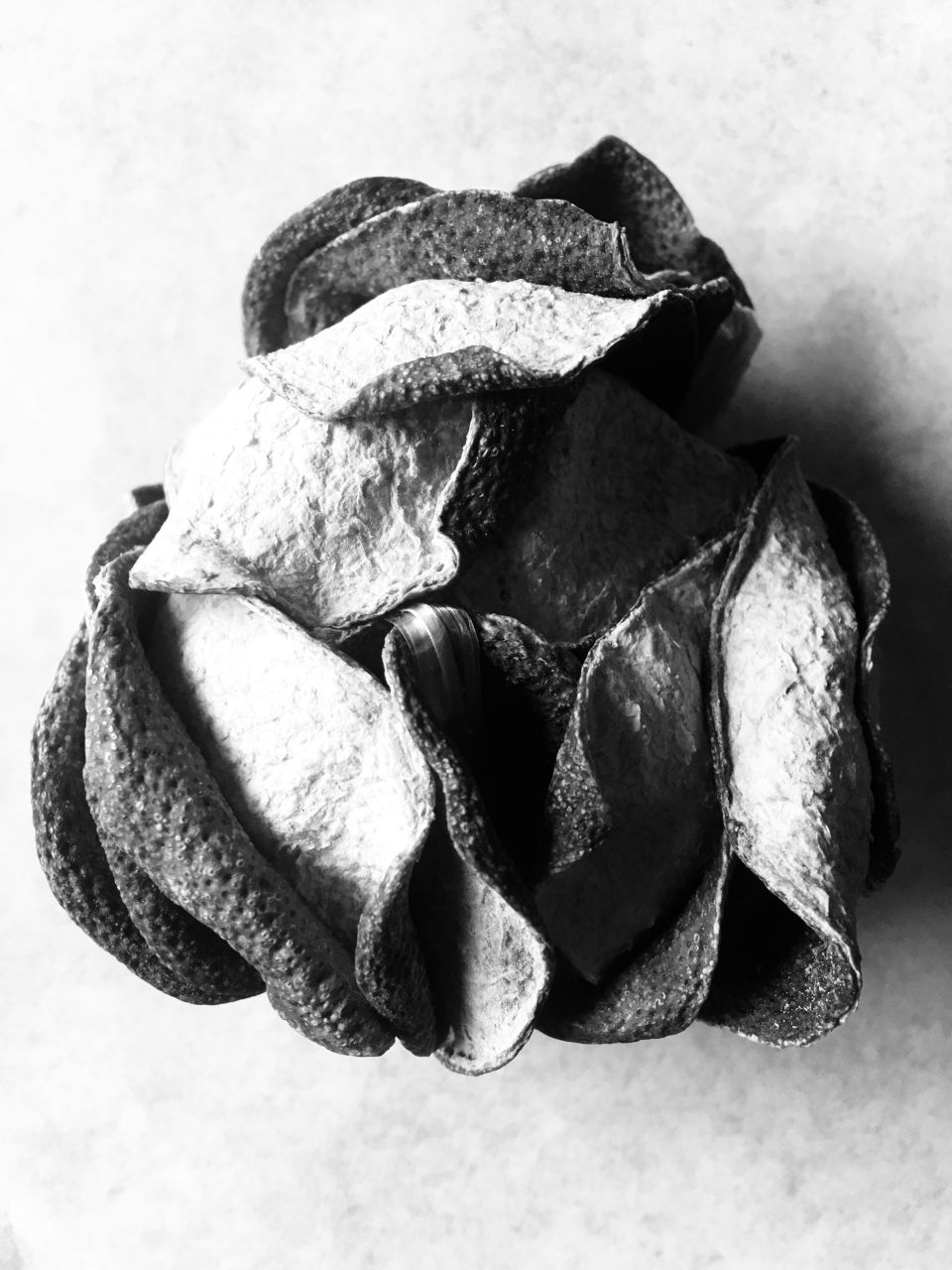 mandarino peel