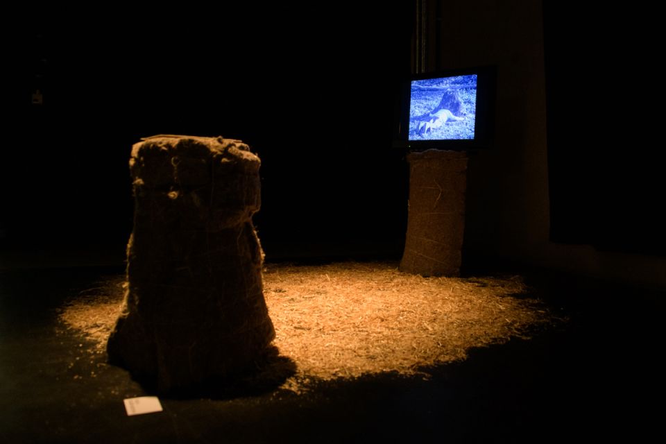 29_04_21_Expo_VruchtbareGrond_Sofie_De_Backere_008