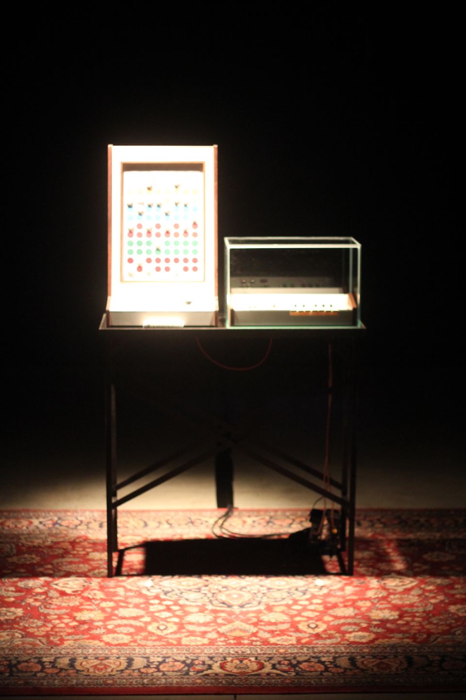 IMG_0818