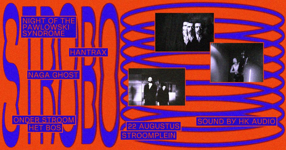 STROBO 4_20 web