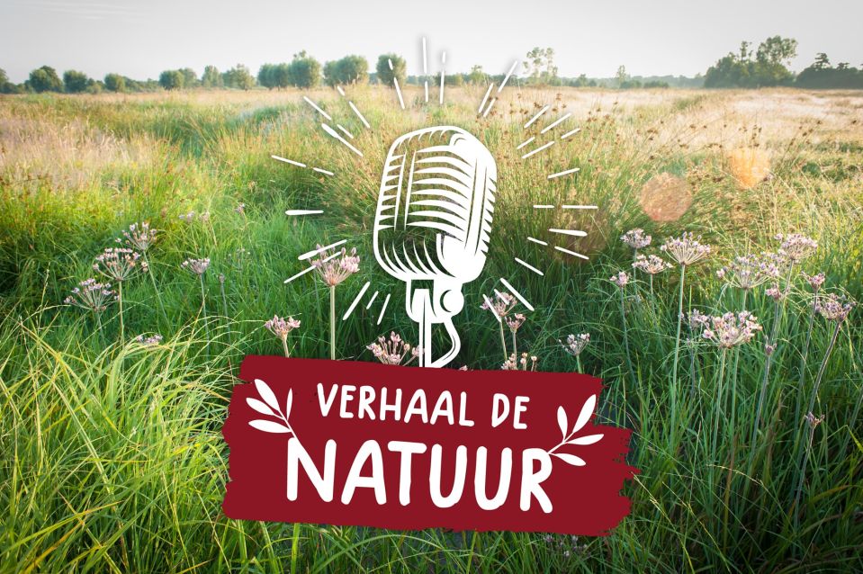 verhaal de natuur
