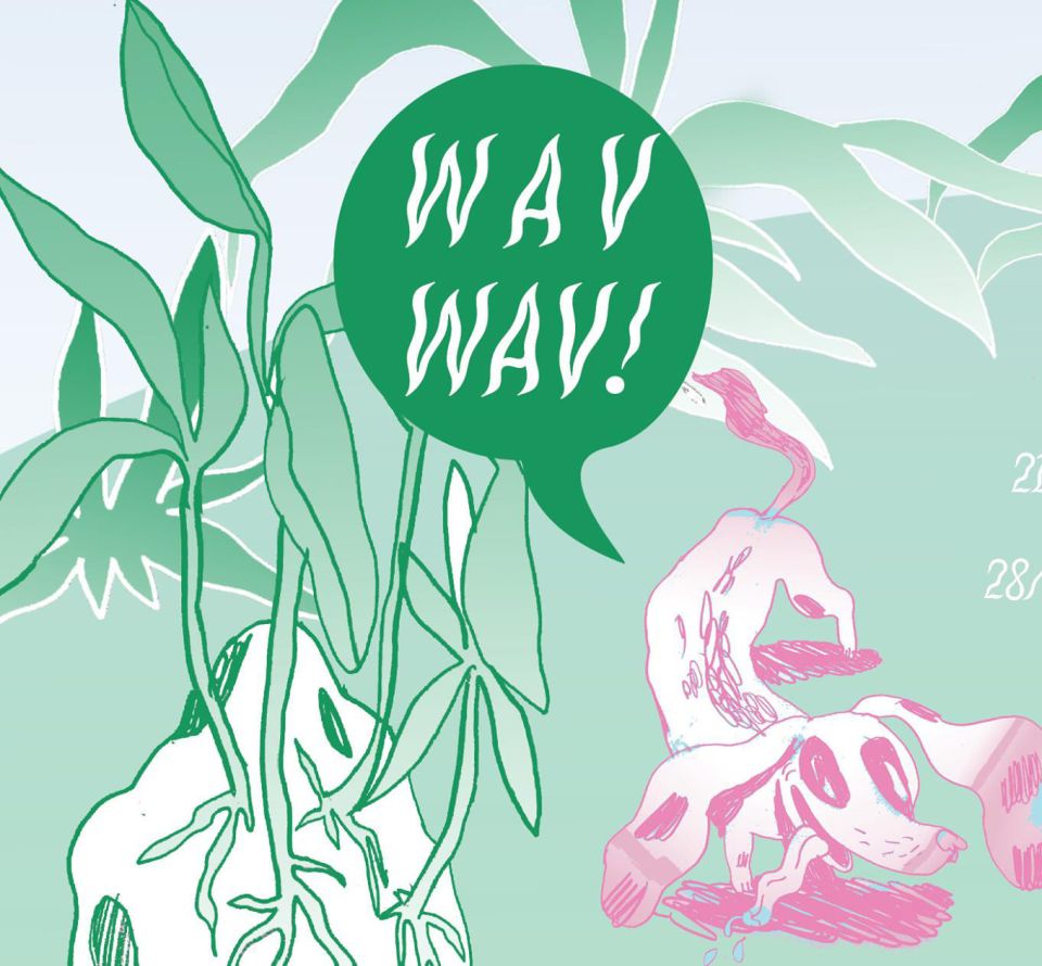 wav wav !