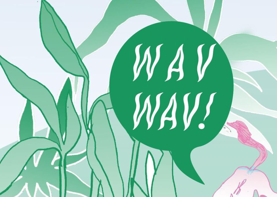 wav wav2!