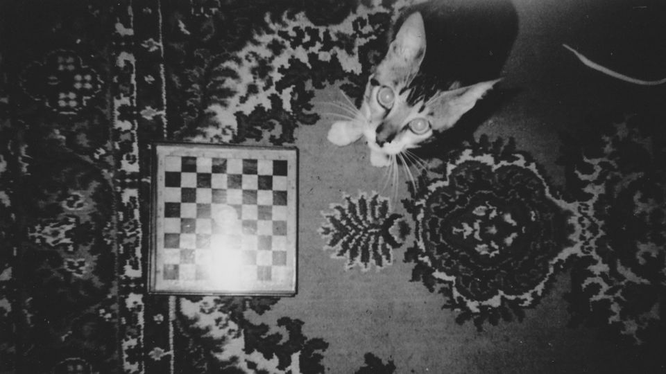 This_day_kat_300DPI
