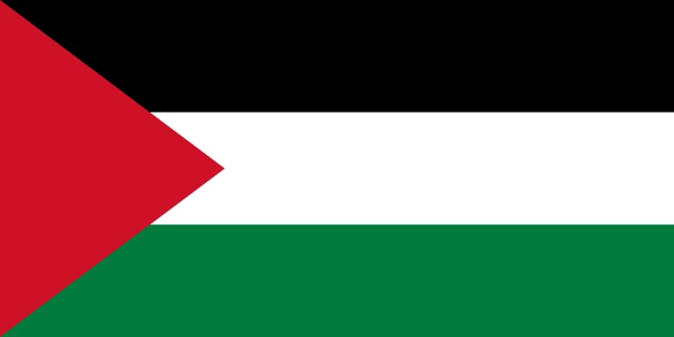 Palestina vlag