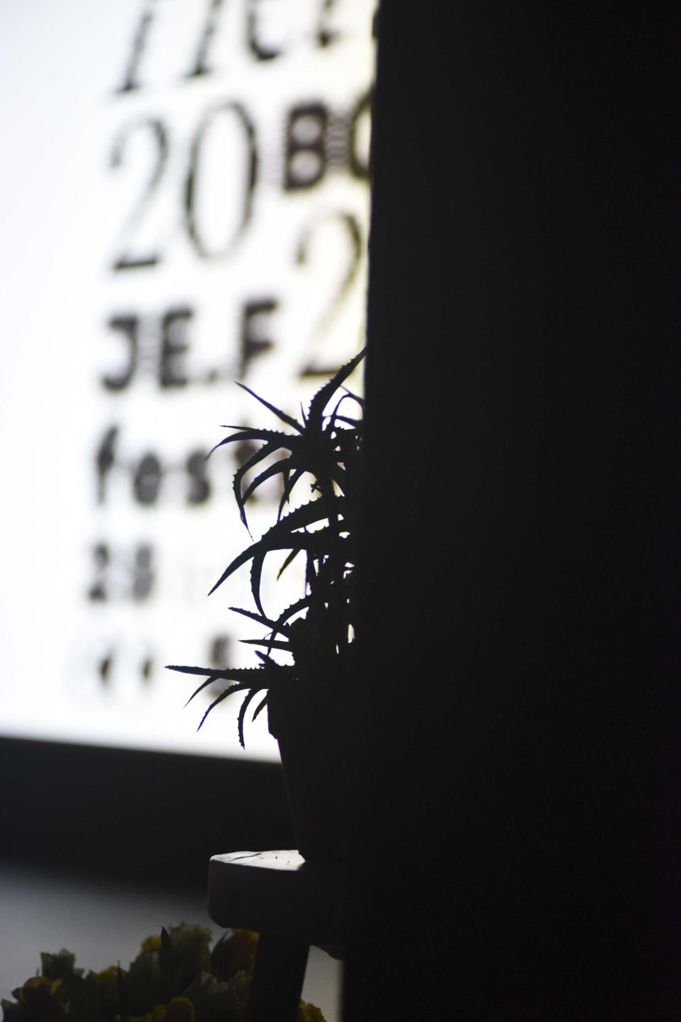 5 maart_Jef festival_Ivan Baetens_2