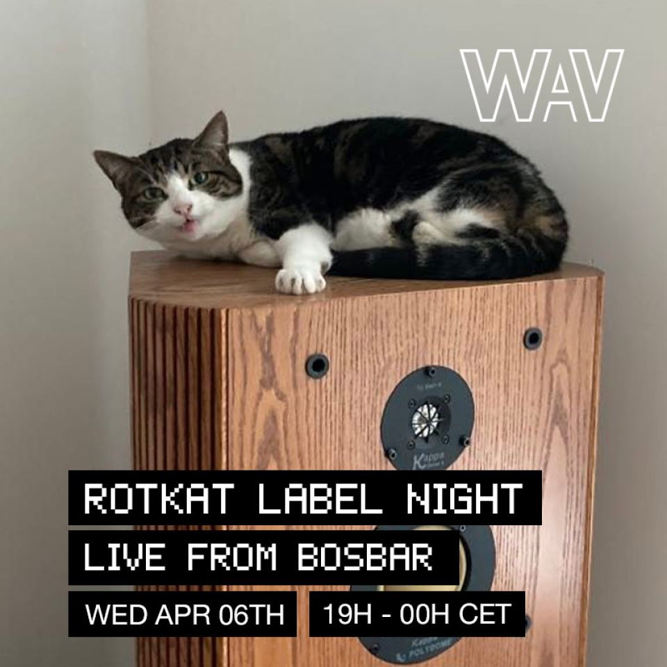 Rotkat-night-IG-pic-w-txt