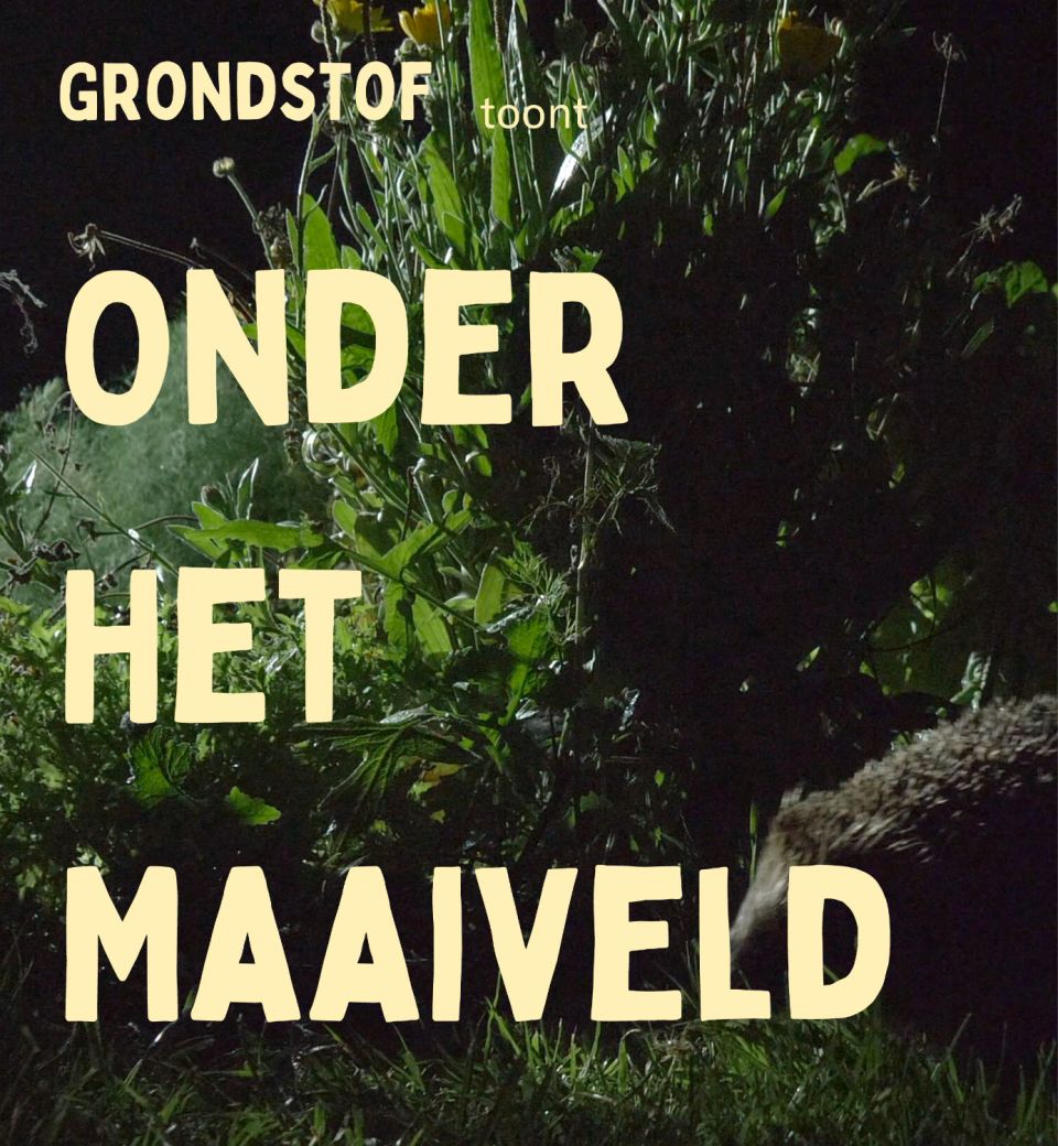 Grondstof OHM poster thumb web