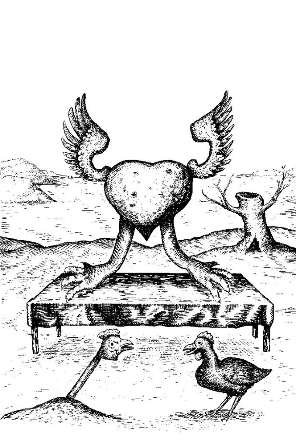 wunderkammer