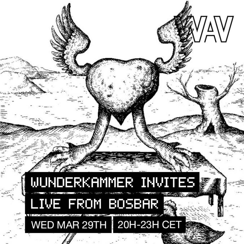 29 03 Wunderkammer-invites-IG-pic