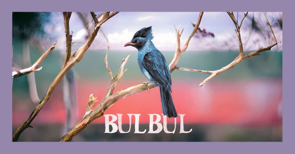 BULBUL collective