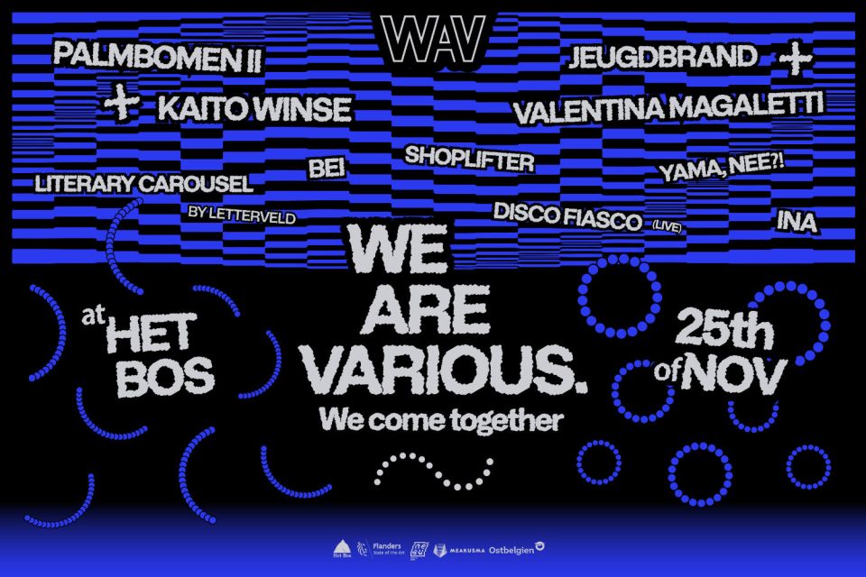 WEBSITE web