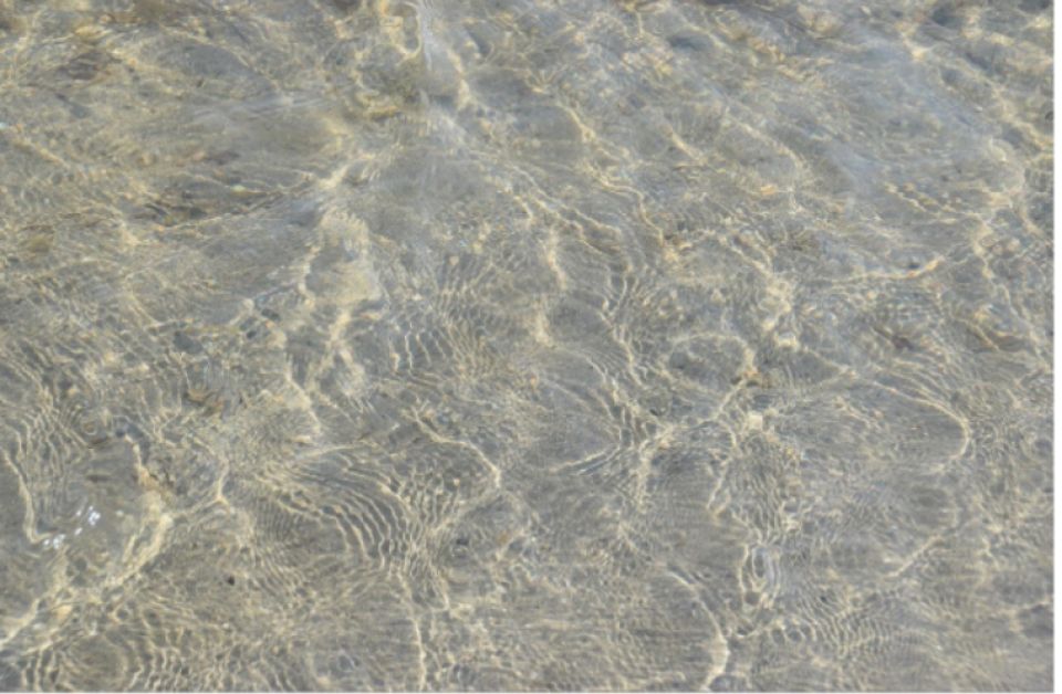 sea_fredeus