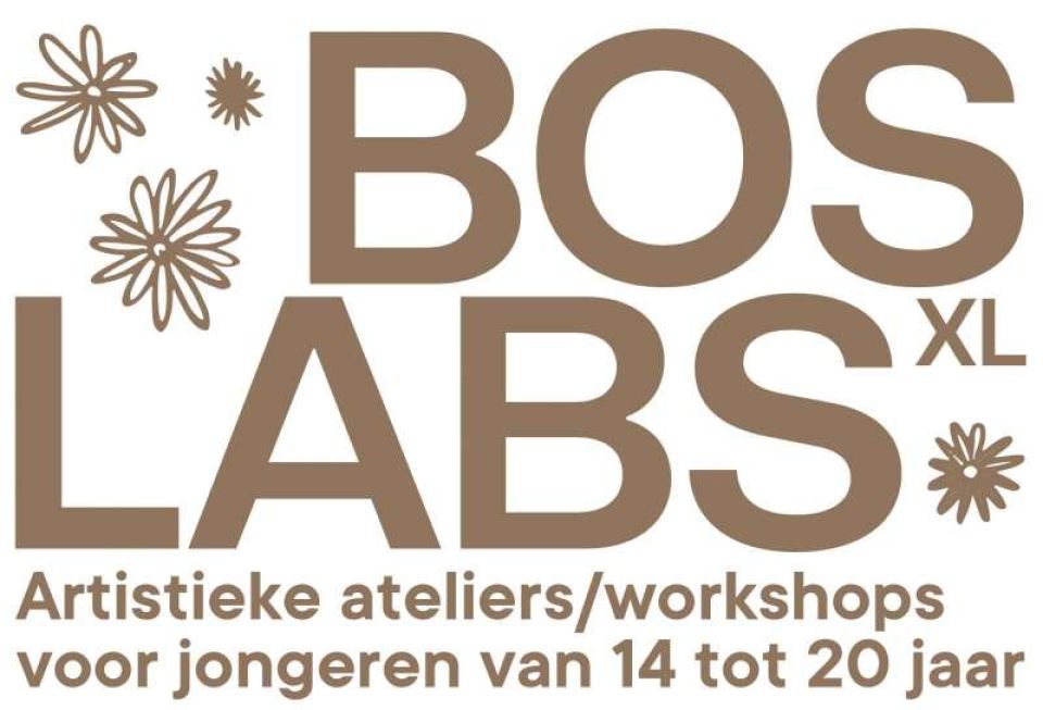 1702576661-boslabs