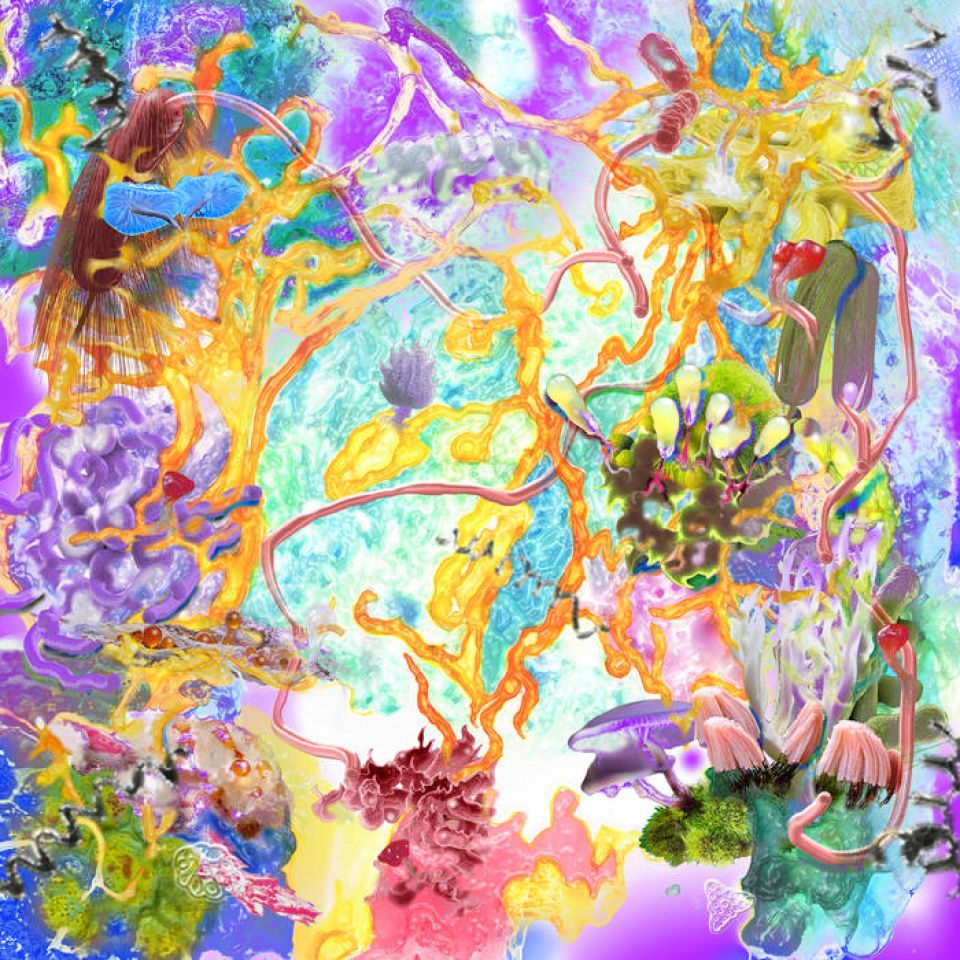 453048981_1024204926224047_421109968142224082_n