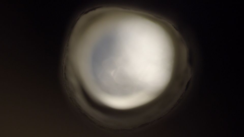 2023-12-20_stills4k_5.1.1