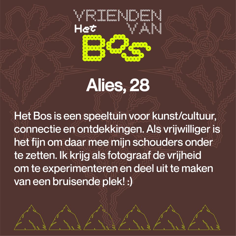 Alies