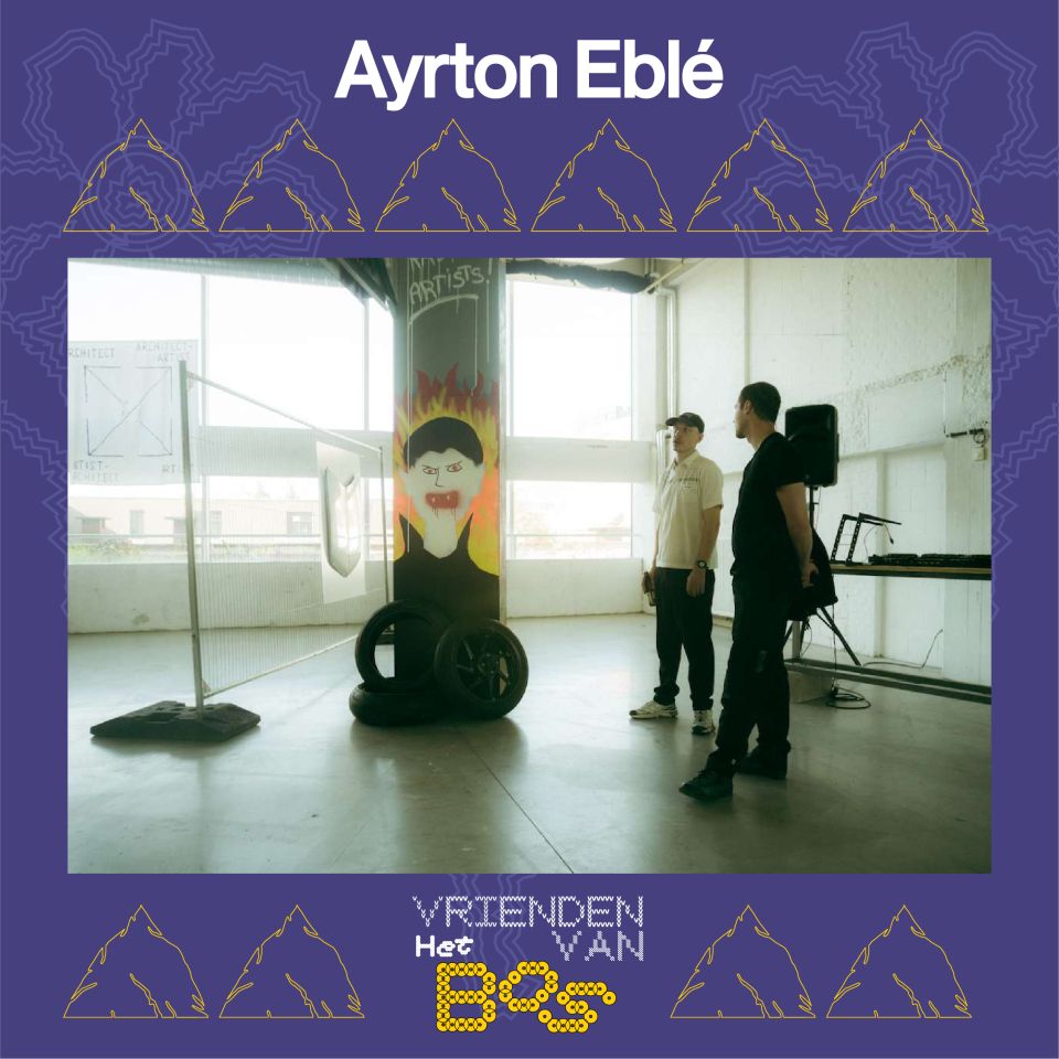 Ayrton_beeld
