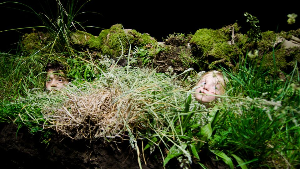 Stills.00_04_31_09.Still011