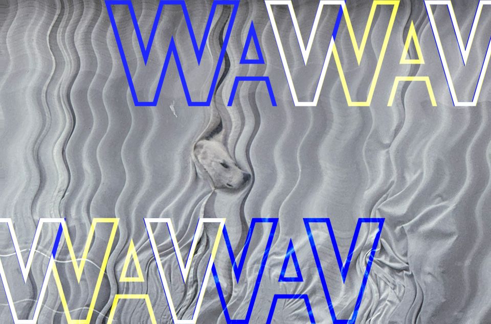 KF26 x Wav