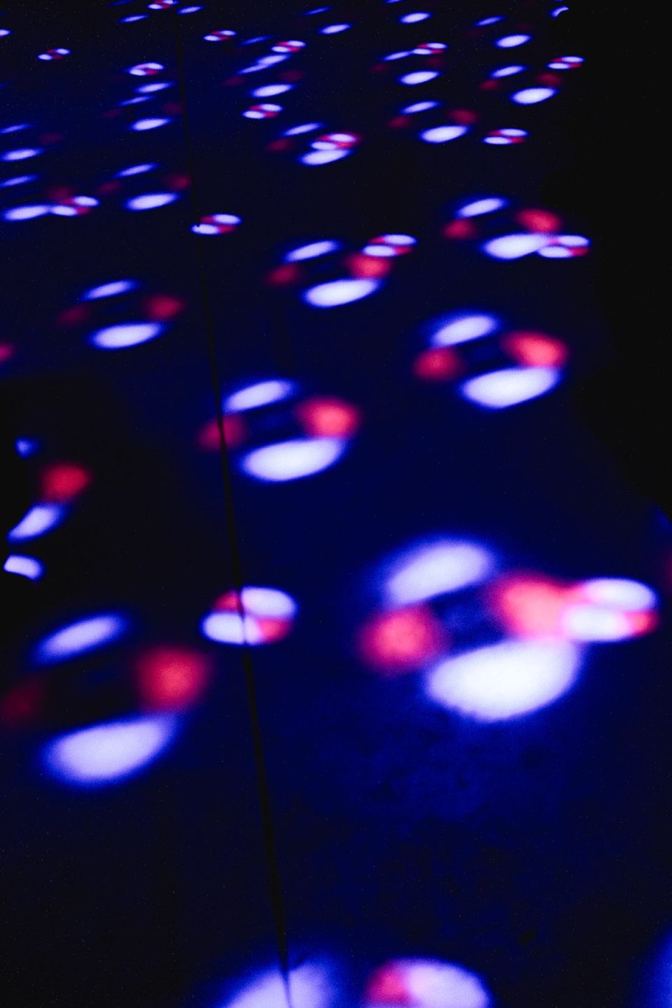 2026_03_08 MoMu x Pulse - Mariana Sá -6