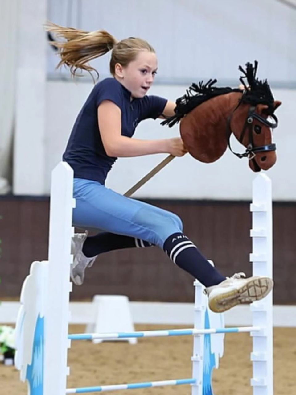 Workshop hobby horse