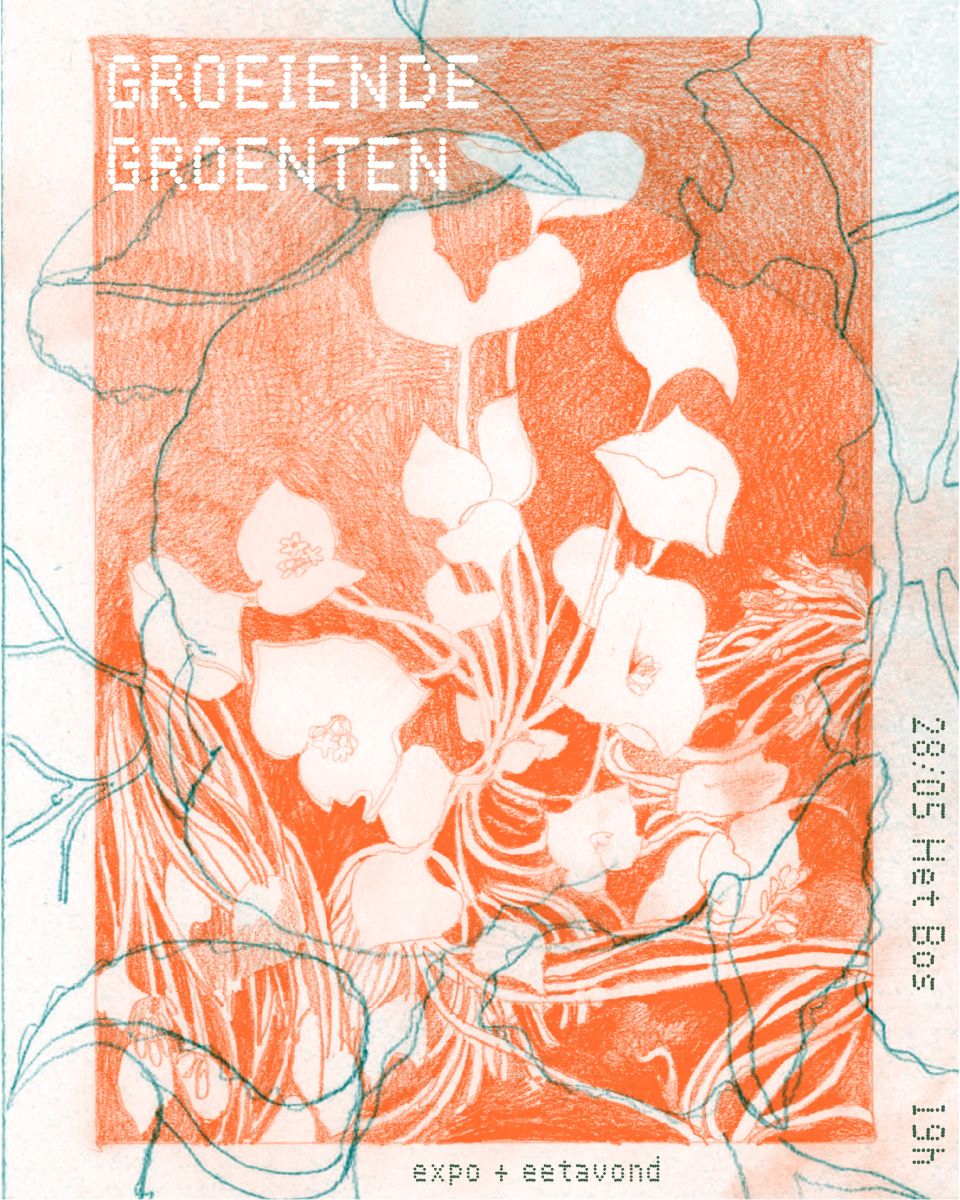 groeiende groenten instagrammm(1)
