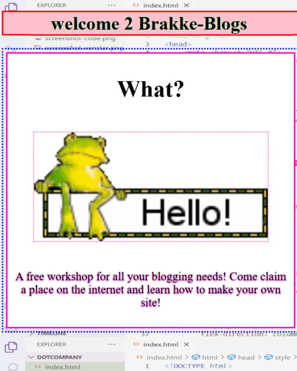 Blog workshop 1