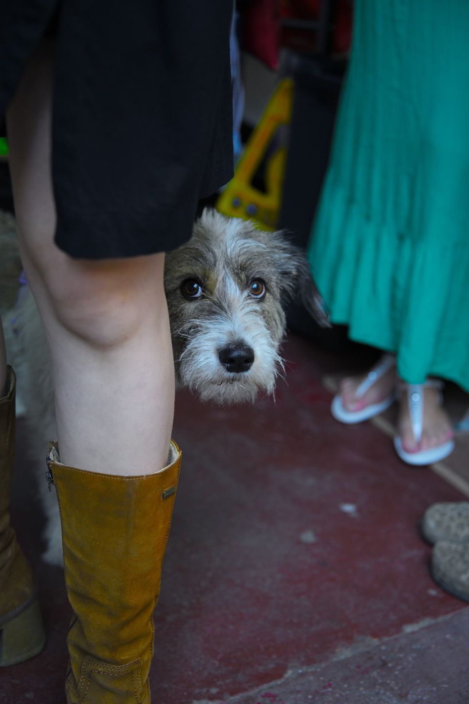 _DSC8466