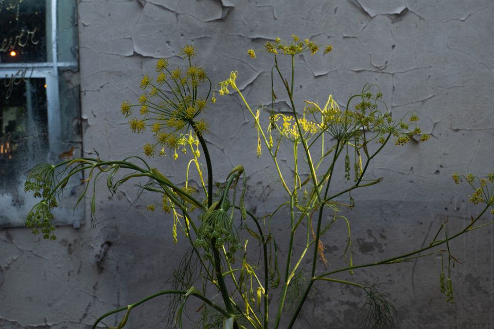 P1213817