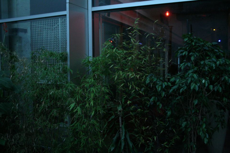2026_07_23_BOSCINEMA - David van Dansik 19