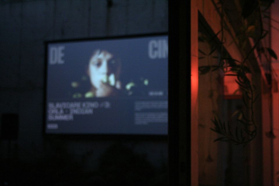 2026_07_23_BOSCINEMA - David van Dansik 26